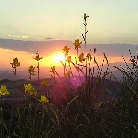 Vellaneta Appartement