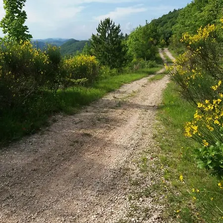Agriturismo Vellaneta *