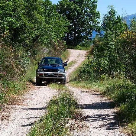 Vellaneta Apartman *